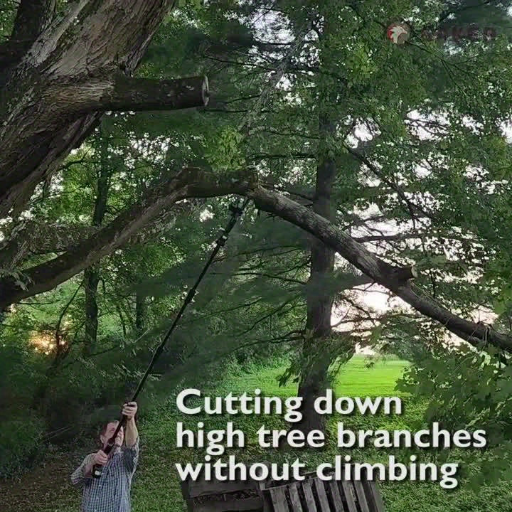High Power Motor Rechargeable 1 Set Detachable Telescopic Pole Chain Saw for Tree Pruning