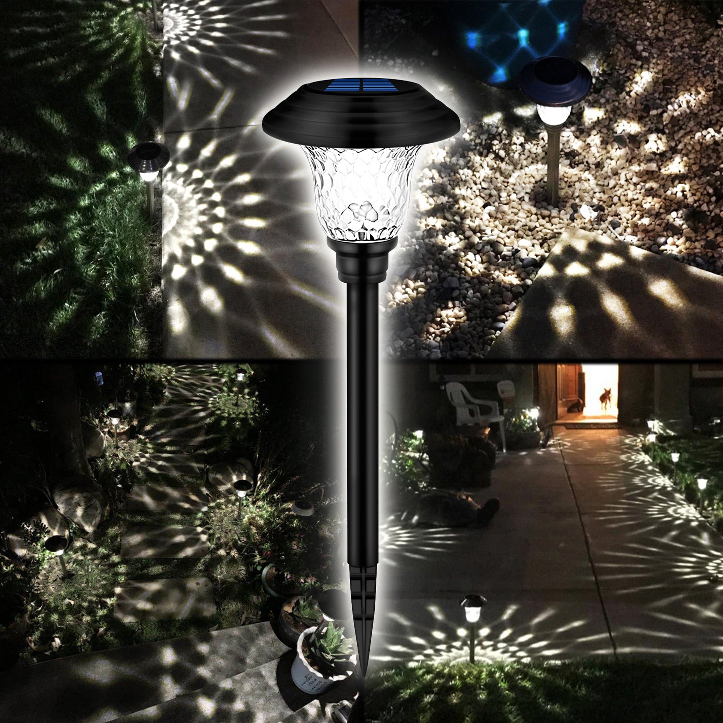 Super Bright Solar Pathway Lights 8 Pack Glass Metal 20 Lumens Auto On Off Solar Garden Lights for Lawn Patio Yard Driveway